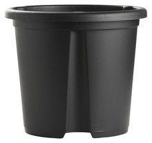 Potatiskruka Ø30 x 26 cm